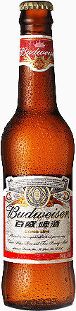 百威啤酒瓶