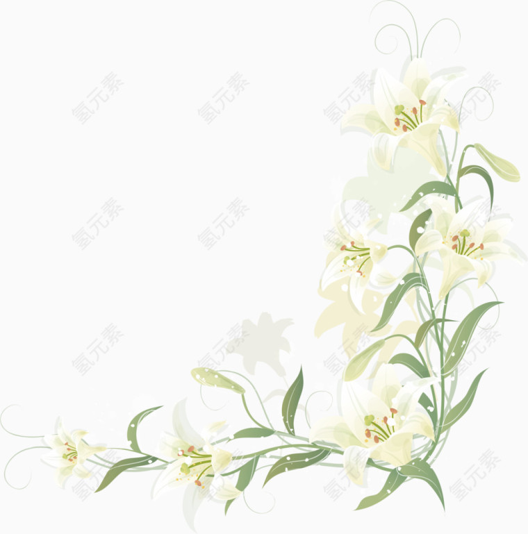 手绘百合边框