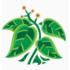 矢量绿色植物叶片