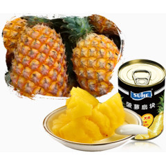 菠萝素材