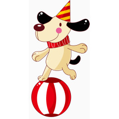 表演杂技的小狗