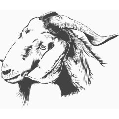 山羊插画素材库矢量