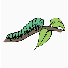 趴在树枝上的毛毛虫