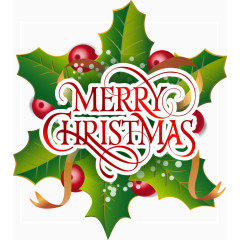 绿色大叶子背景圣诞卡