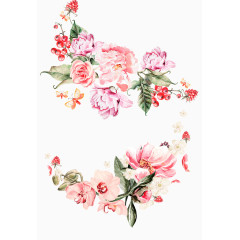 手绘花朵花卉唯美