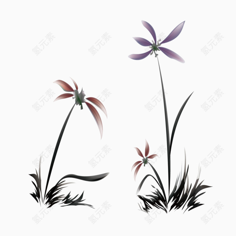 姐妹花