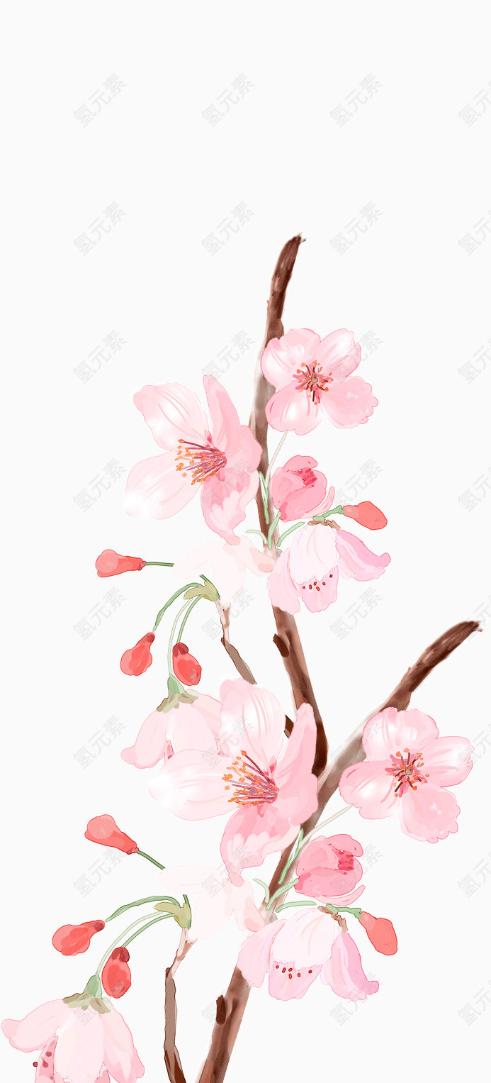 手绘水彩花朵