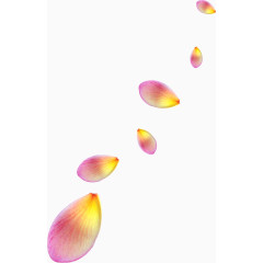 粉色花瓣素材花瓣背景