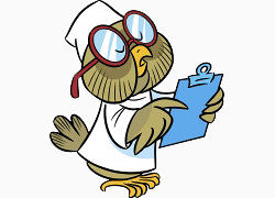 卡通手绘医生鹦鹉