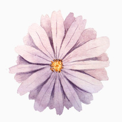 卡通精美五彩花卉