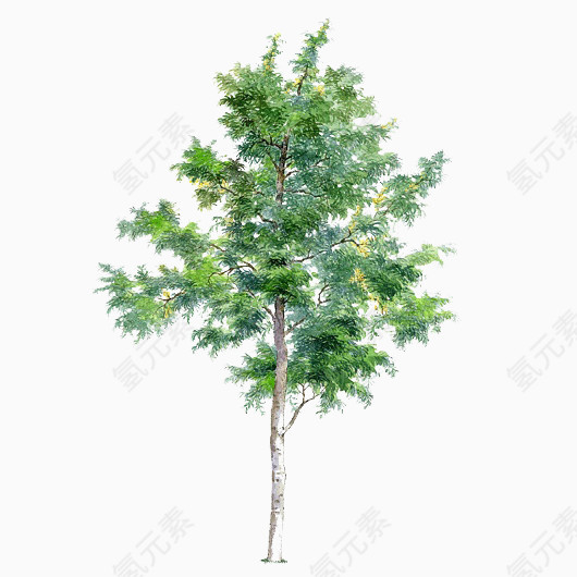手绘树木素材卡通树木
