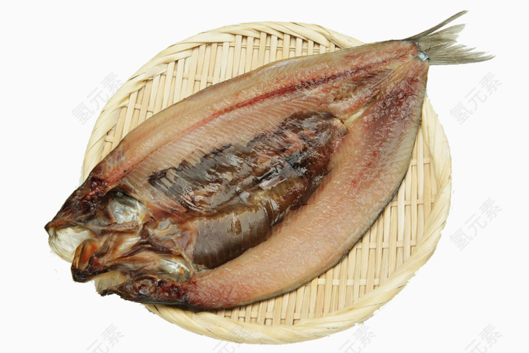 太平洋青鱼特写