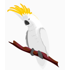 卡通鹦鹉