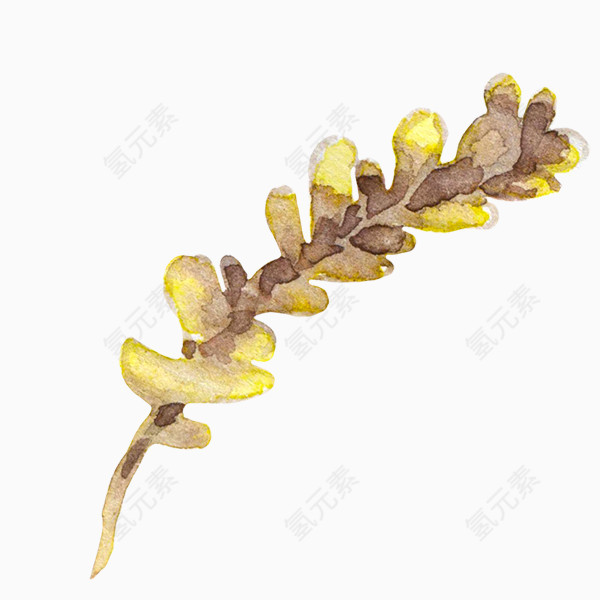 水彩插画小清新植物装饰素材