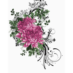 精美手绘菊花素材线描花卉