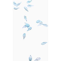 各种花卉的花瓣