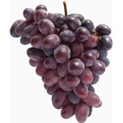 葡萄