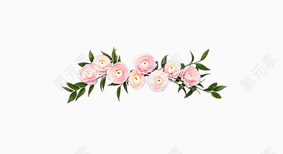 手绘鲜花花瓣元素