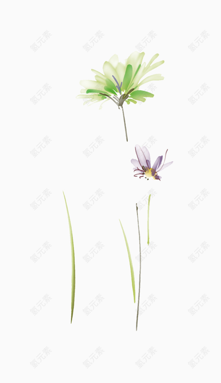 手绘花