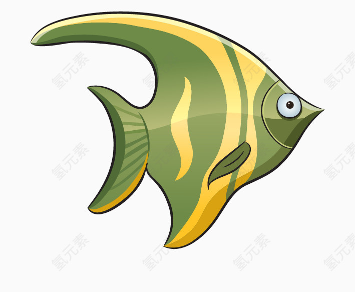 海洋鱼类