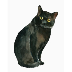 森林系元素仙境素材