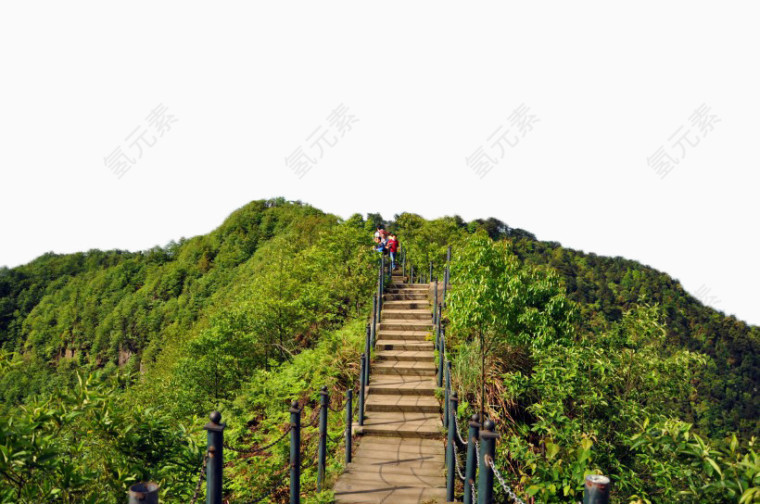 重庆永川茶山竹海风景