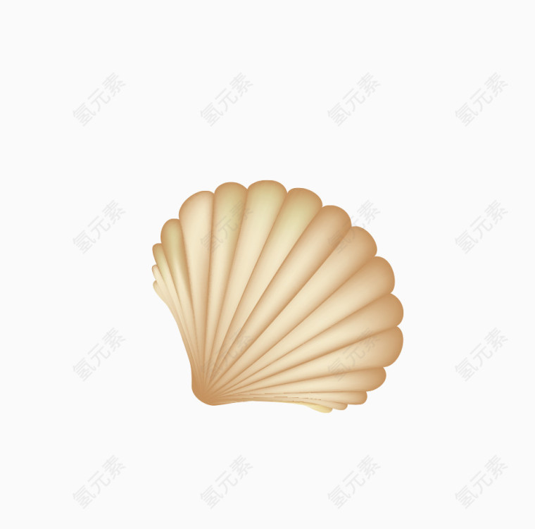 彩色贝壳设计素材