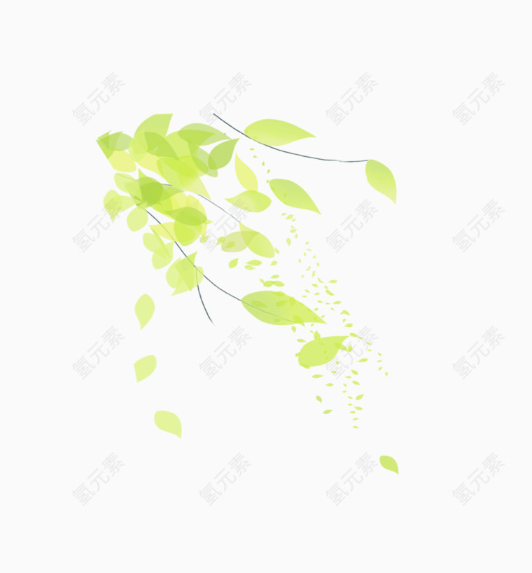 树叶