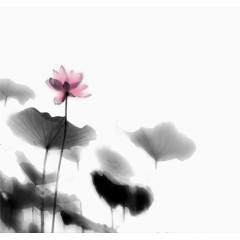 水墨莲花