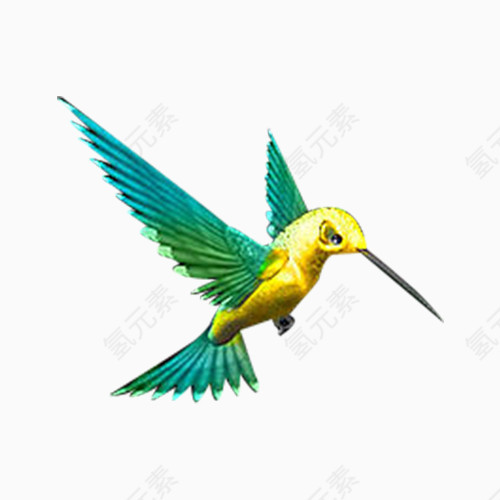 黄绿色尖嘴鸟儿