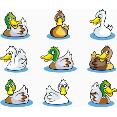 卡通浮水鸭子合集
