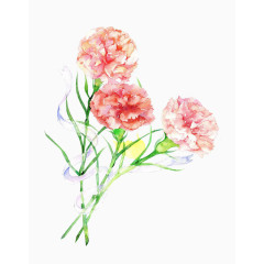 棕色金属钢笔尖