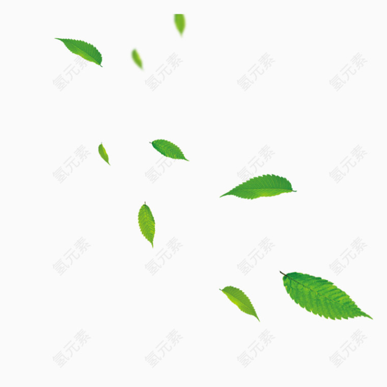 漂浮的树叶 