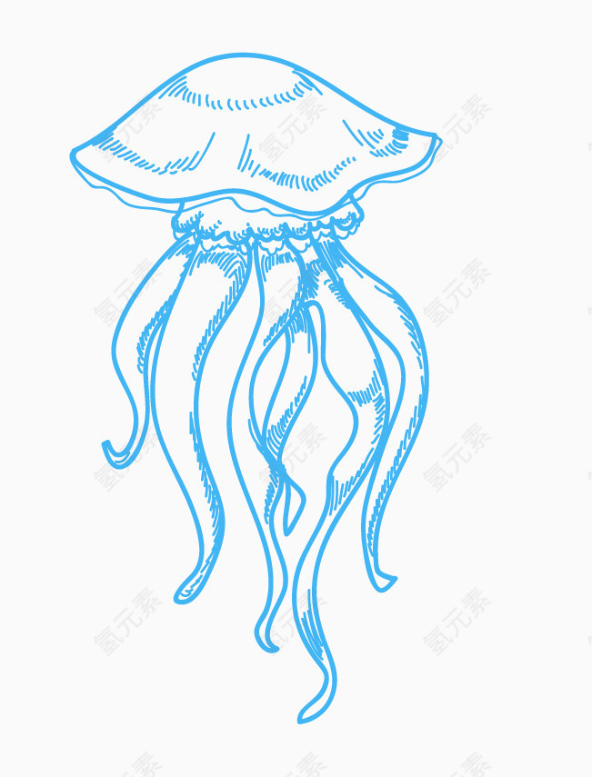 简笔画海母