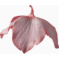 袋鼠妈妈衣服烘干机