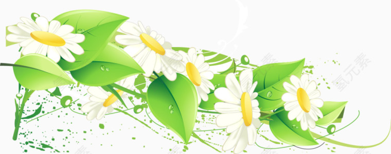 绿色清新树叶花朵