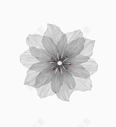 灰色简约花朵素材