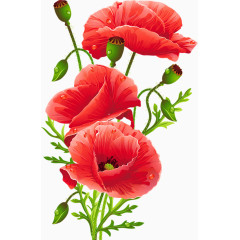 鲜花装饰