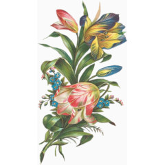 卡通花复古 精美手绘牡丹花