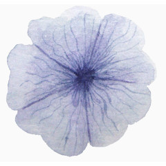 紫色手绘的有五朵花瓣的花朵