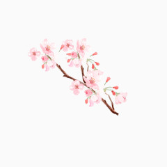 精美手绘桃花花束