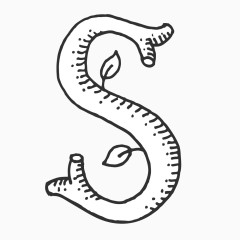 手绘线稿数字字母S