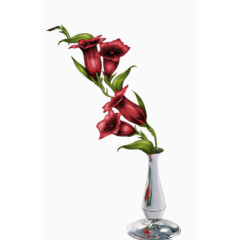 装饰图片装饰卡通