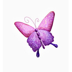 紫色蝴蝶