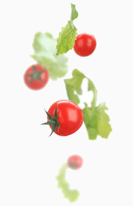 新鲜蔬菜