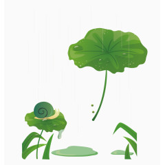 矢量下雨天的荷叶