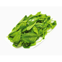 有食欲的鸡毛菜