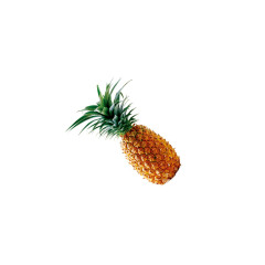 凤梨