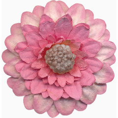 装饰图片素材花卉插画