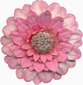 装饰图片素材花卉插画